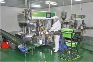 愛護工廠參觀之旅 以匠心與品質，鑄就皮革制品的卓越承諾